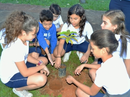 Colgio Marista de Palmas promove plantio de mudas de rvores em comemorao ao Dia Mundial de Meio Ambiente