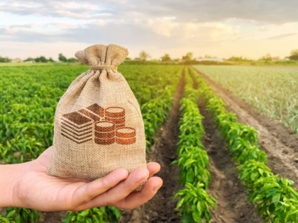 Saiba como concorrer  vaga para Tcnico em Agronegcio em Palmas pela SENAR-TO